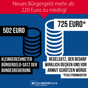 725 Euro. Regelsatz, der Bedarf wirklich decken und vor Armut schützen würde (plus Stromkosten).